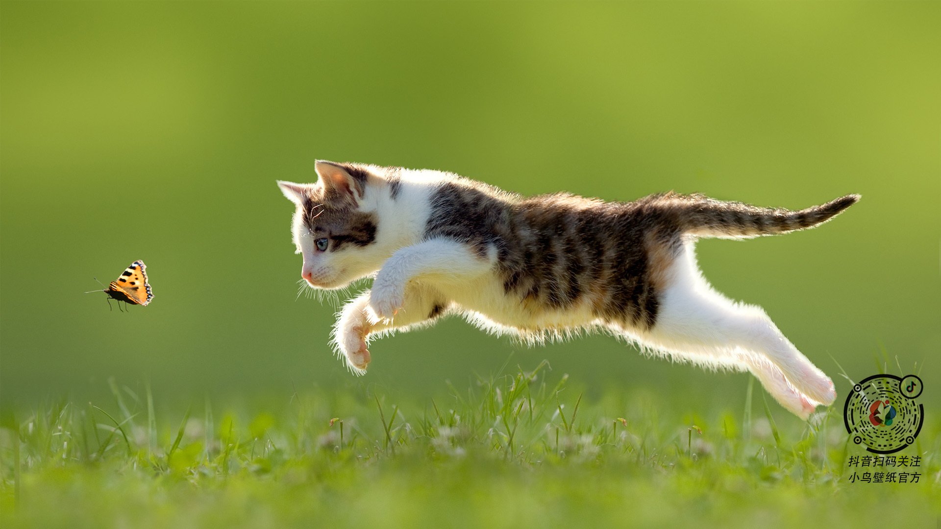 蒂亚戈一箭定江山，哥伦比亚逆转希腊的经典之战