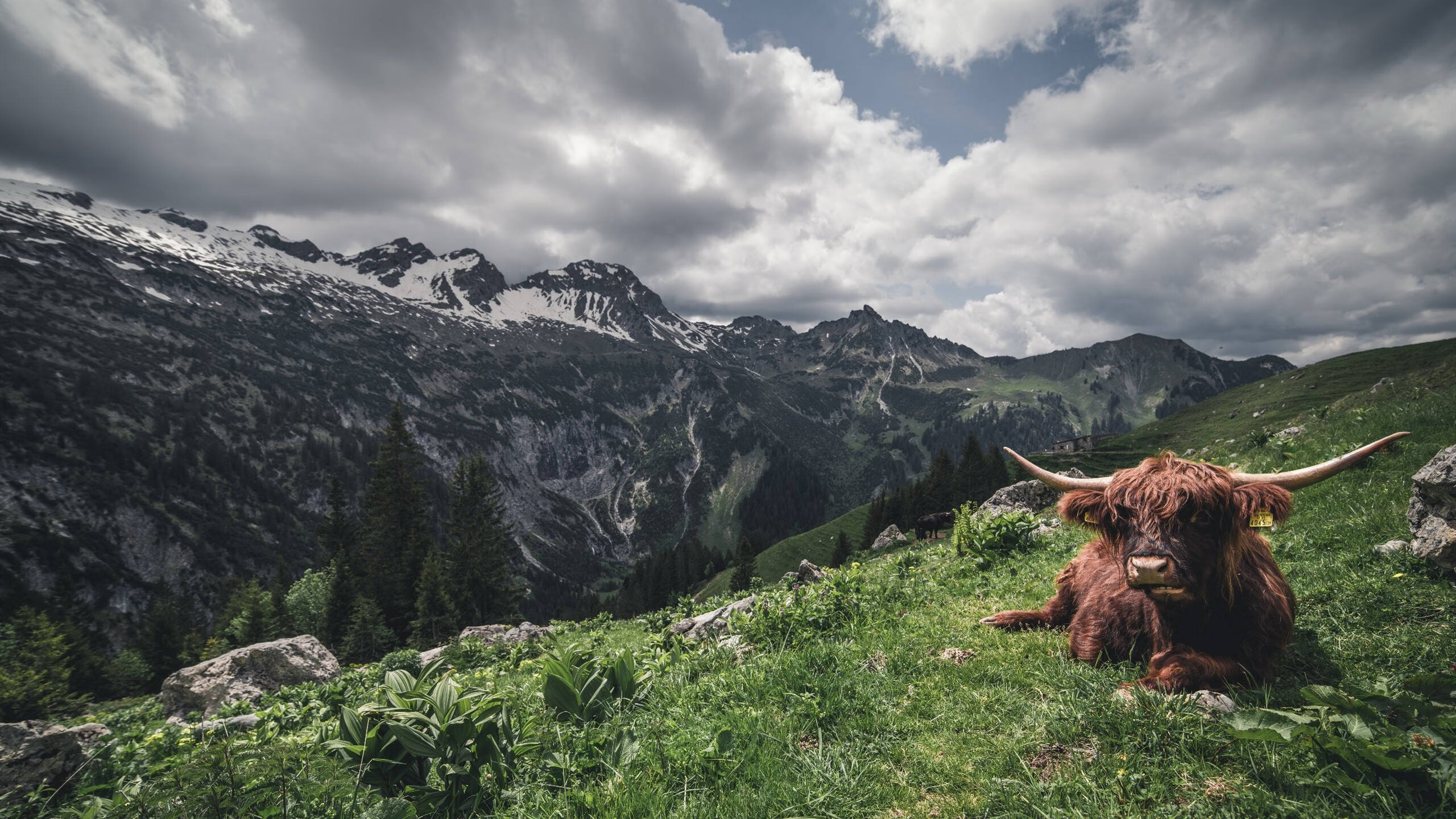 爱游戏大厅-跨越山海的唯一王者，当红土硝烟点燃总决赛的王座