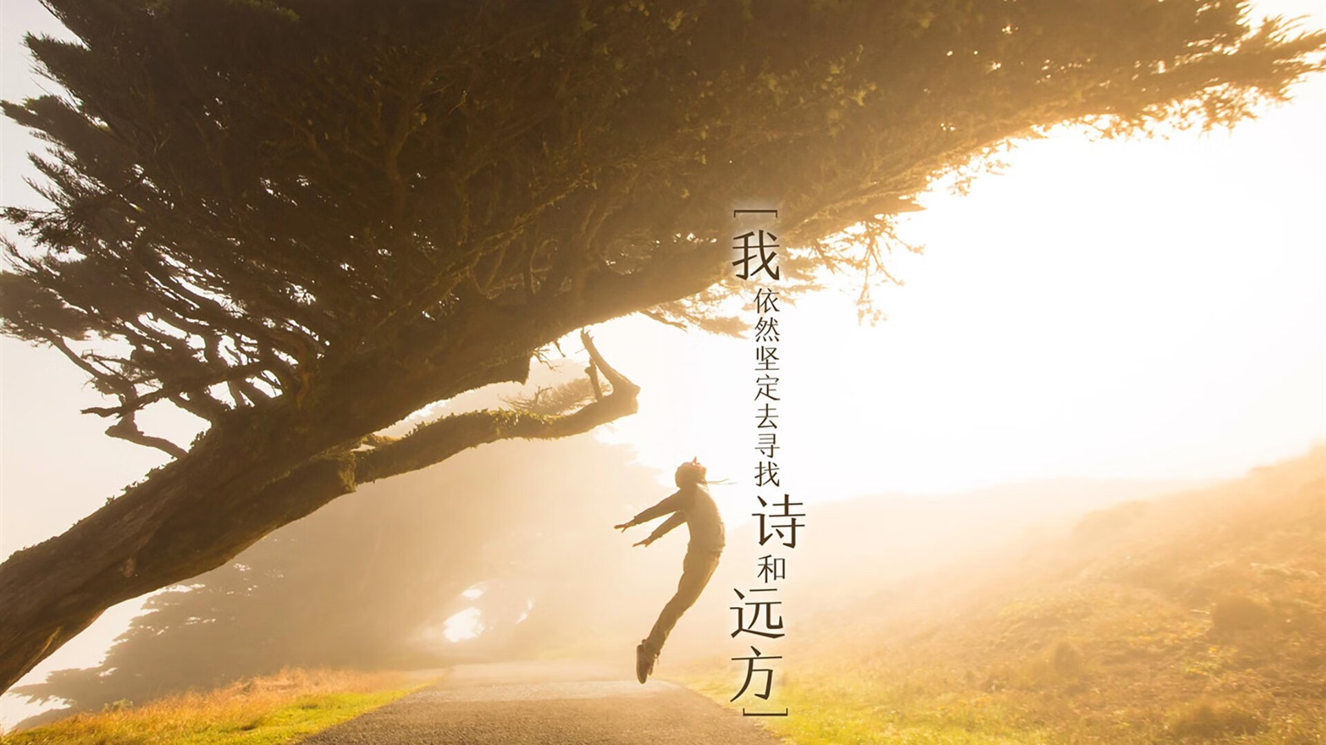一场由卡瓦哈尔指挥的马竞胜利,铁血防反如何借皇马之矛,刺穿巴黎之盾