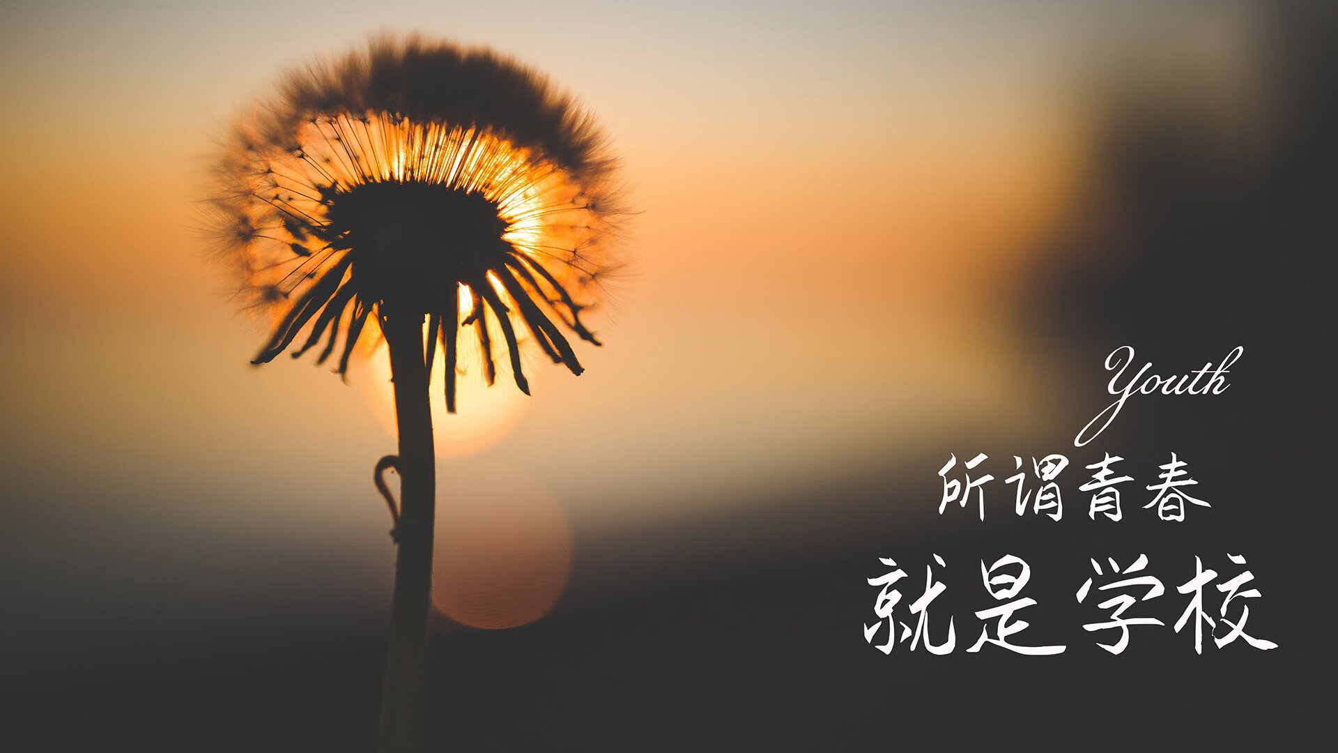 蓝白锋刃,划过天蓝幕布