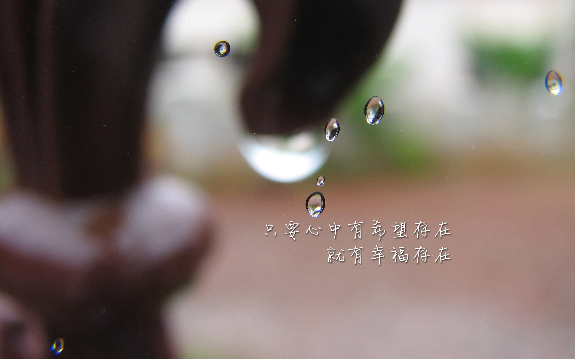 独苗—班凯罗关键制胜,独行侠最后时刻击败猛龙