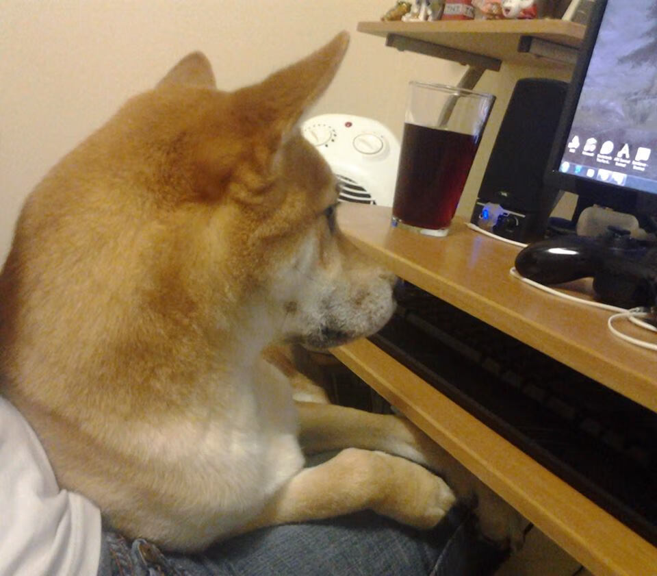 米切尔末节19分导演逆转风暴!步行者跨联赛力克辽宁,强势晋级国际邀请赛四强