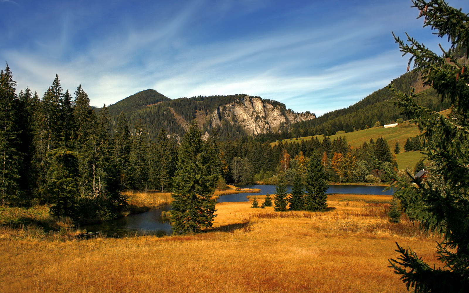 暴风眼格林，一个人的得分风暴，一支队的完美冲垮