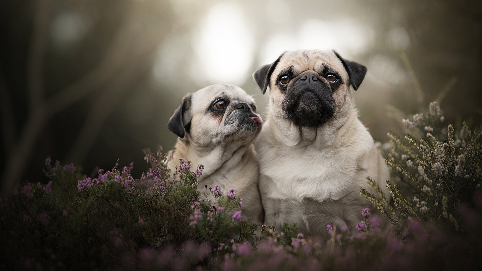 李刚仁解锁巴萨密码,一场4-1背后,制霸罗马的全新方程式