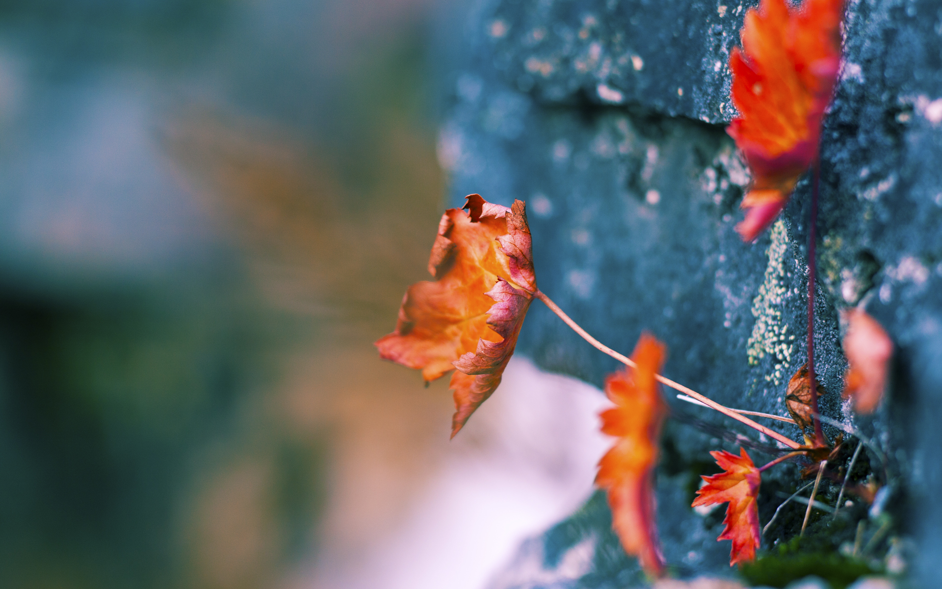 被时光封印的传奇，2004年那场湖人如何用混凝土般的防守让马刺窒息