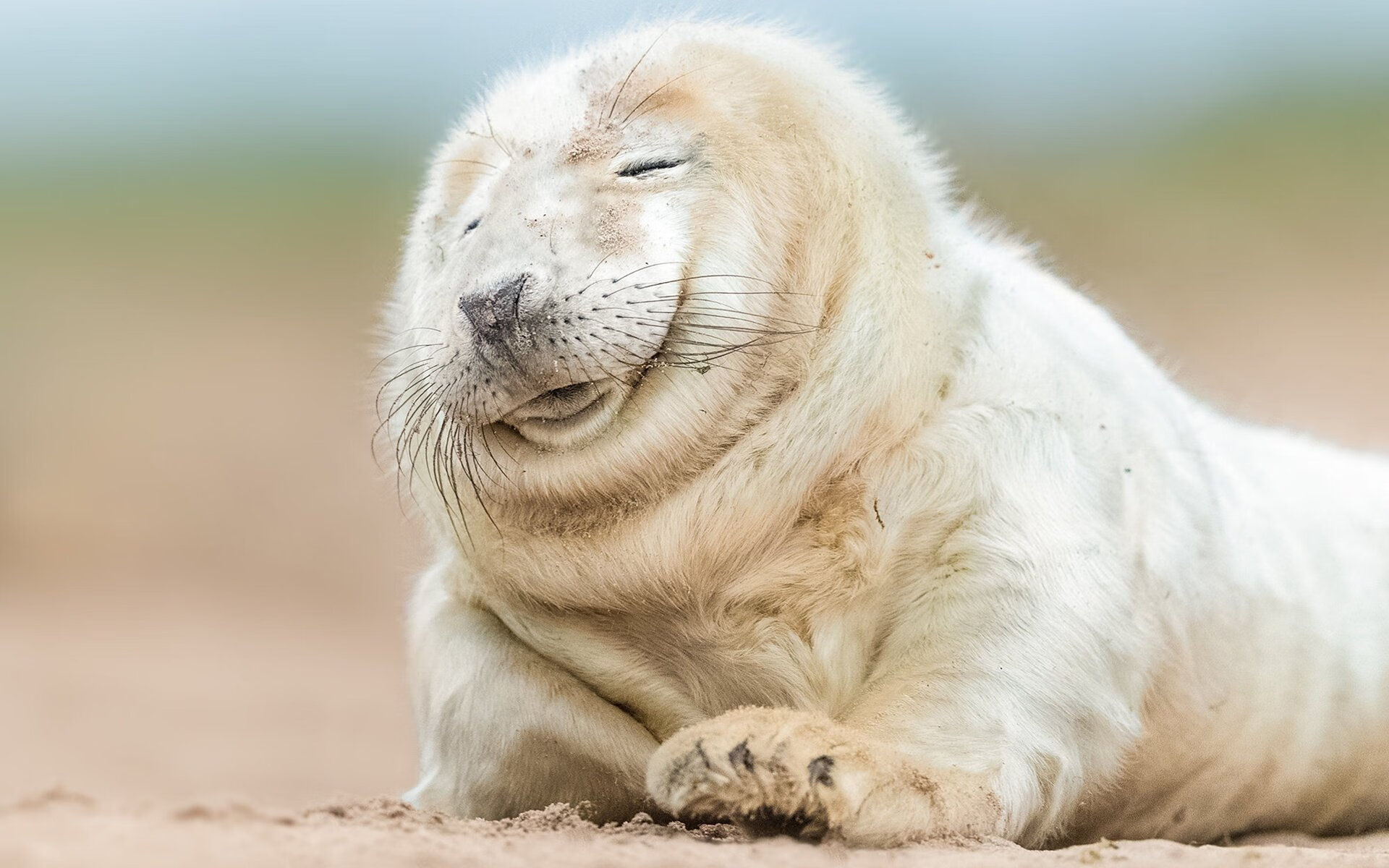 世界篮球格局裂变，绿军进化与字母哥国际赛场接管