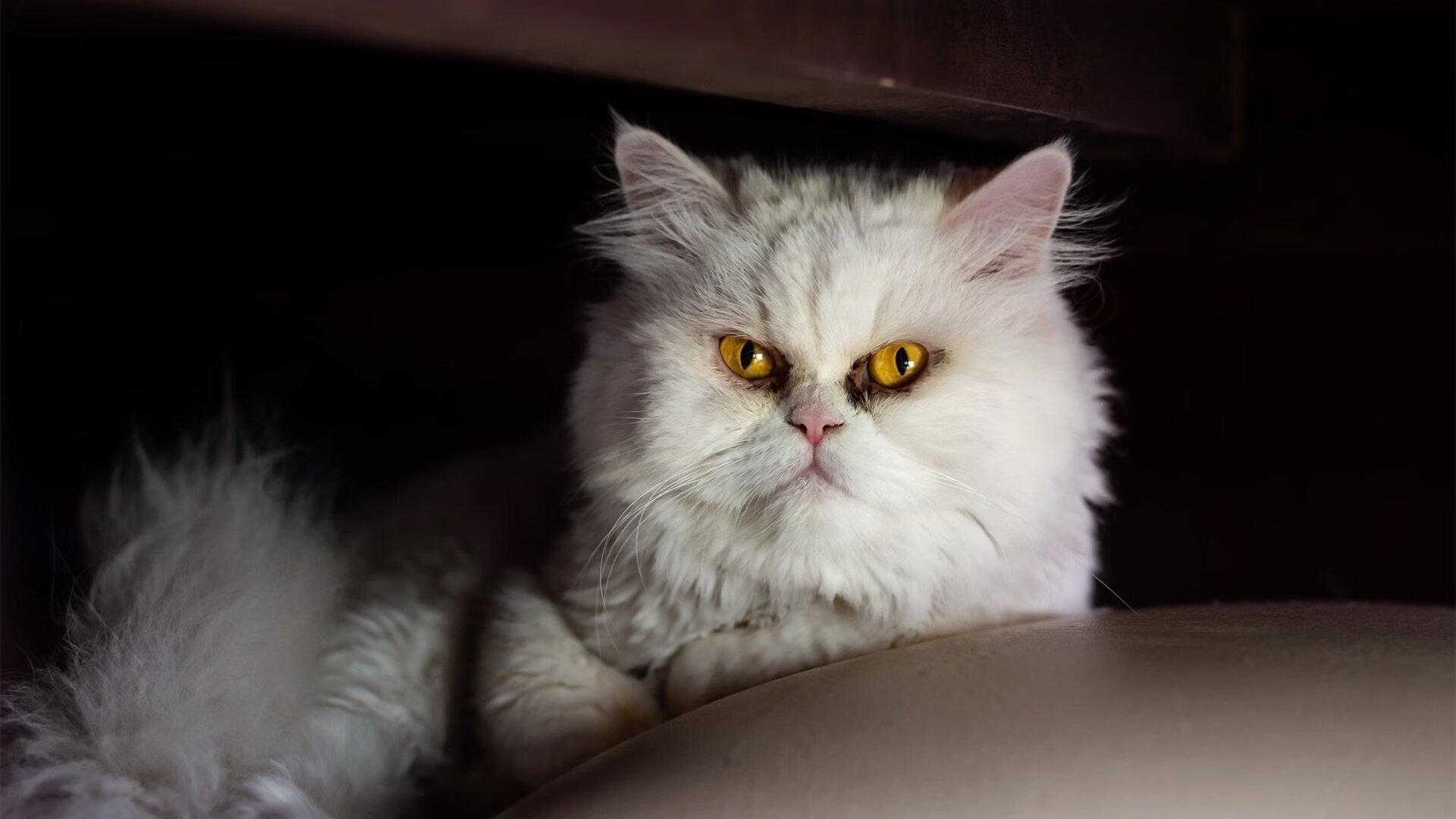 哈弗茨一锤定音,洲际对决的唯一性来自何处?