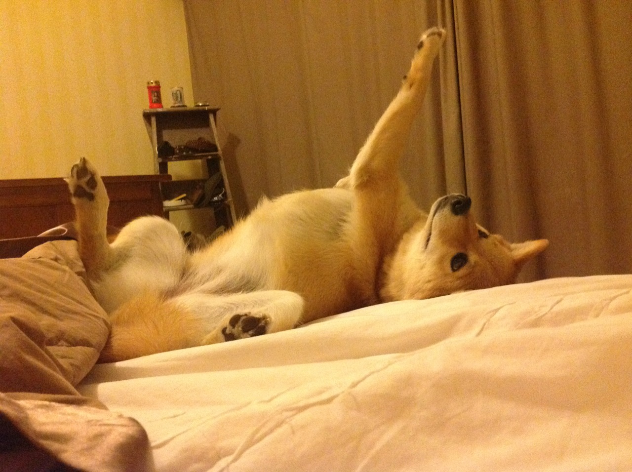 当马里碾压乌克兰，基耶萨在棋盘上接管世界排名争夺战