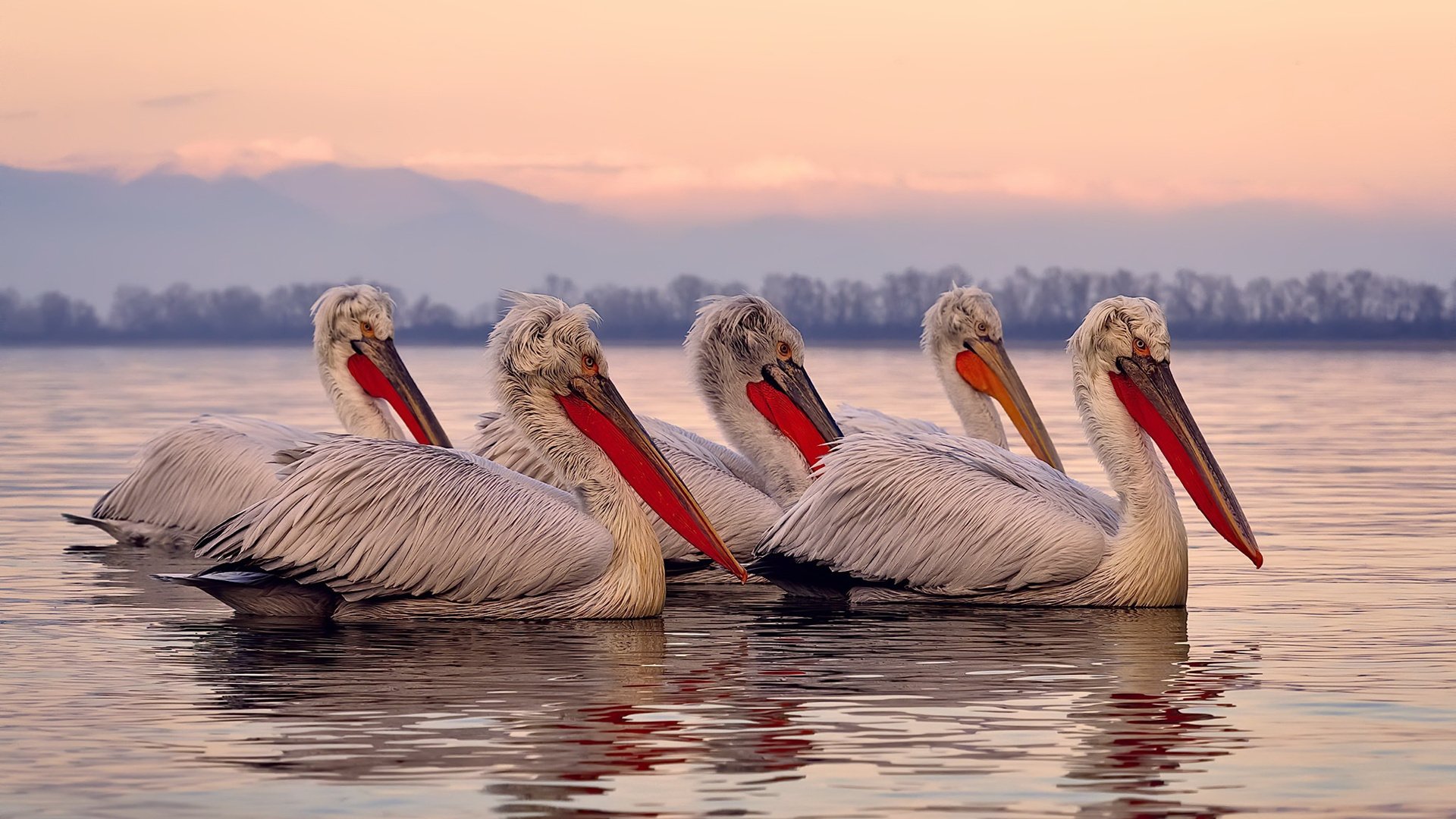 焦点战压力化为闪耀证明，法比尼奥的欧冠决赛之夜