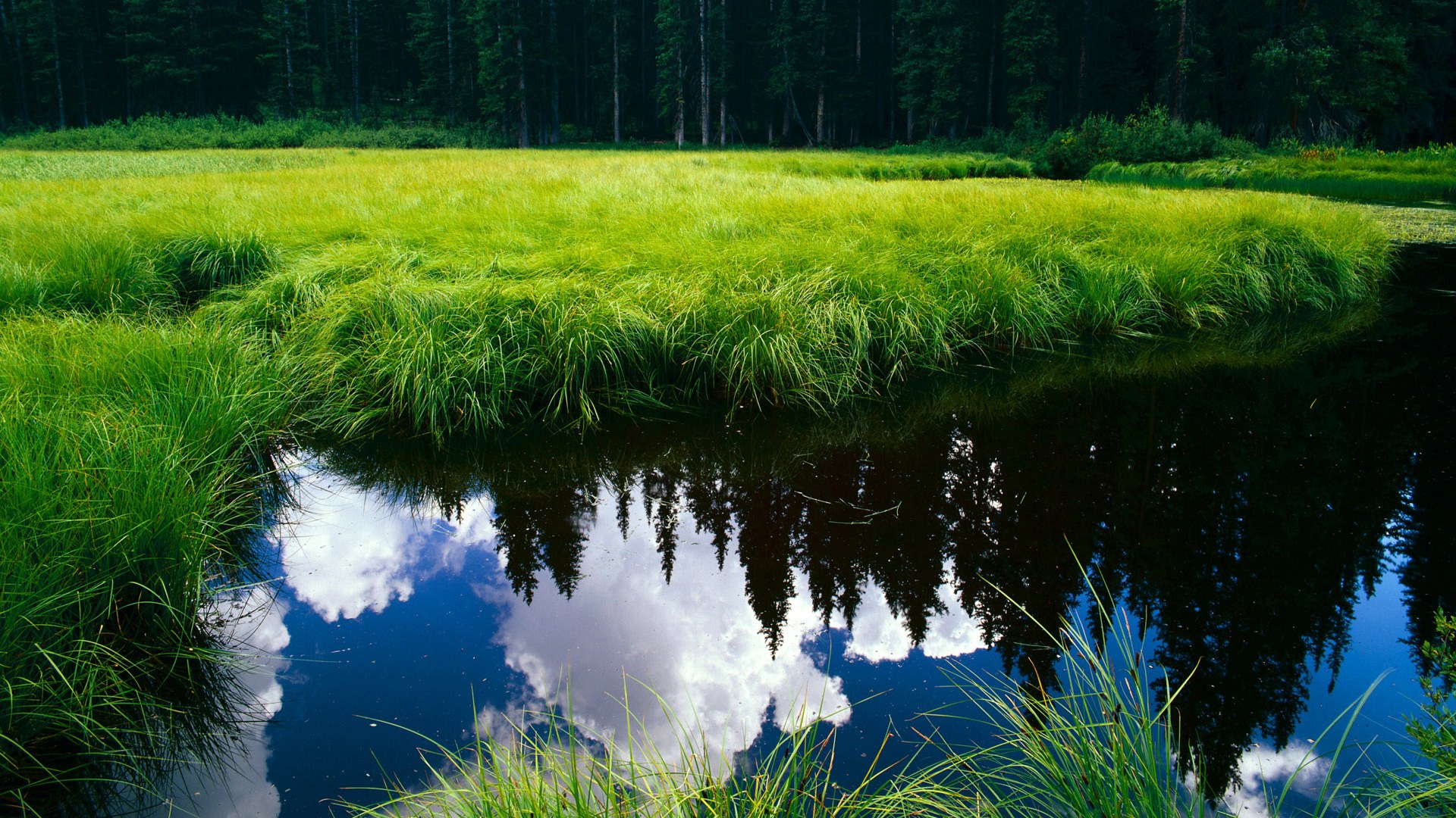 约基奇降维撕裂上海防线，热火式团队碾压诠释篮球次元差