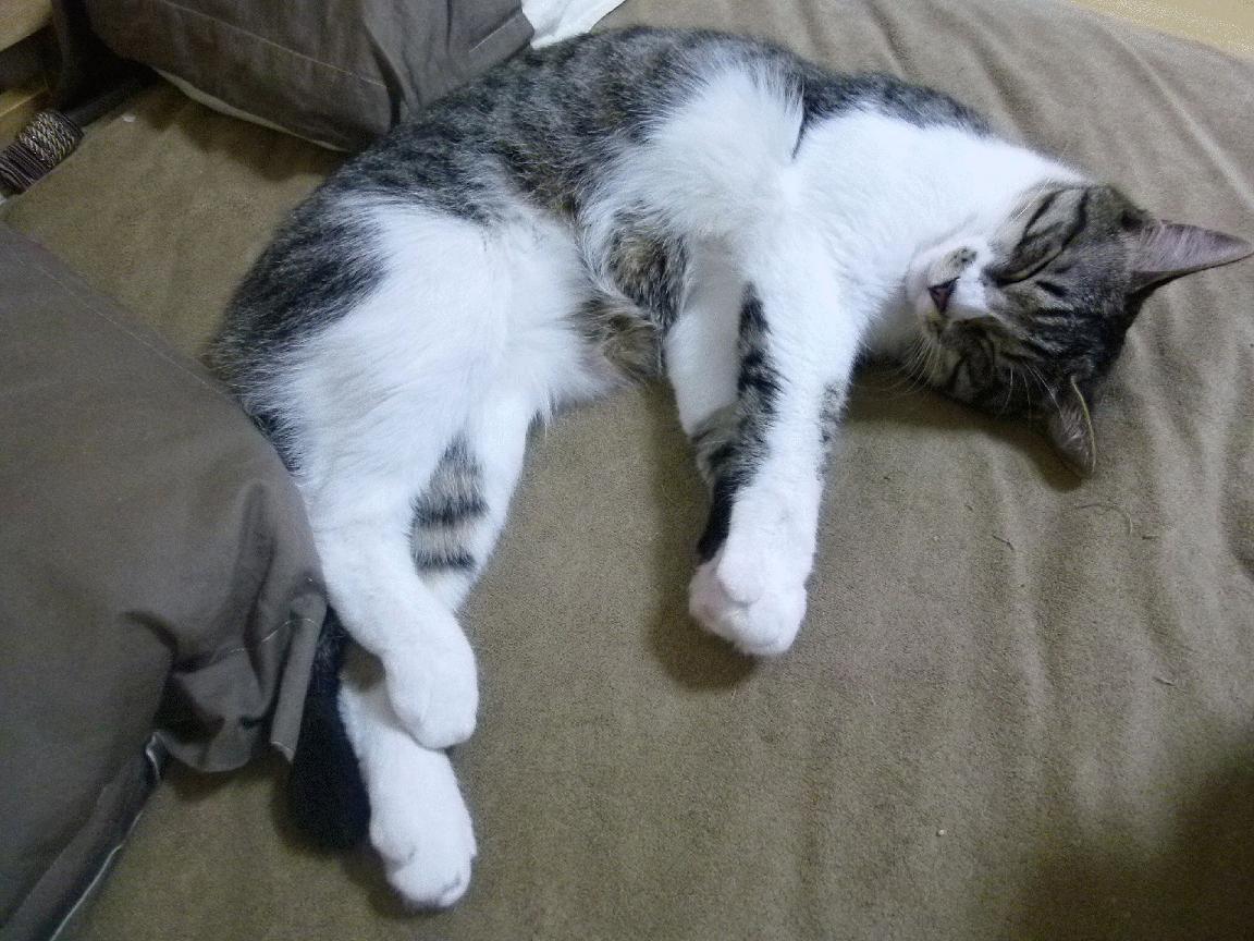 钟表大师，英格拉姆如何在快船对阵北京队中完全掌控比赛节奏