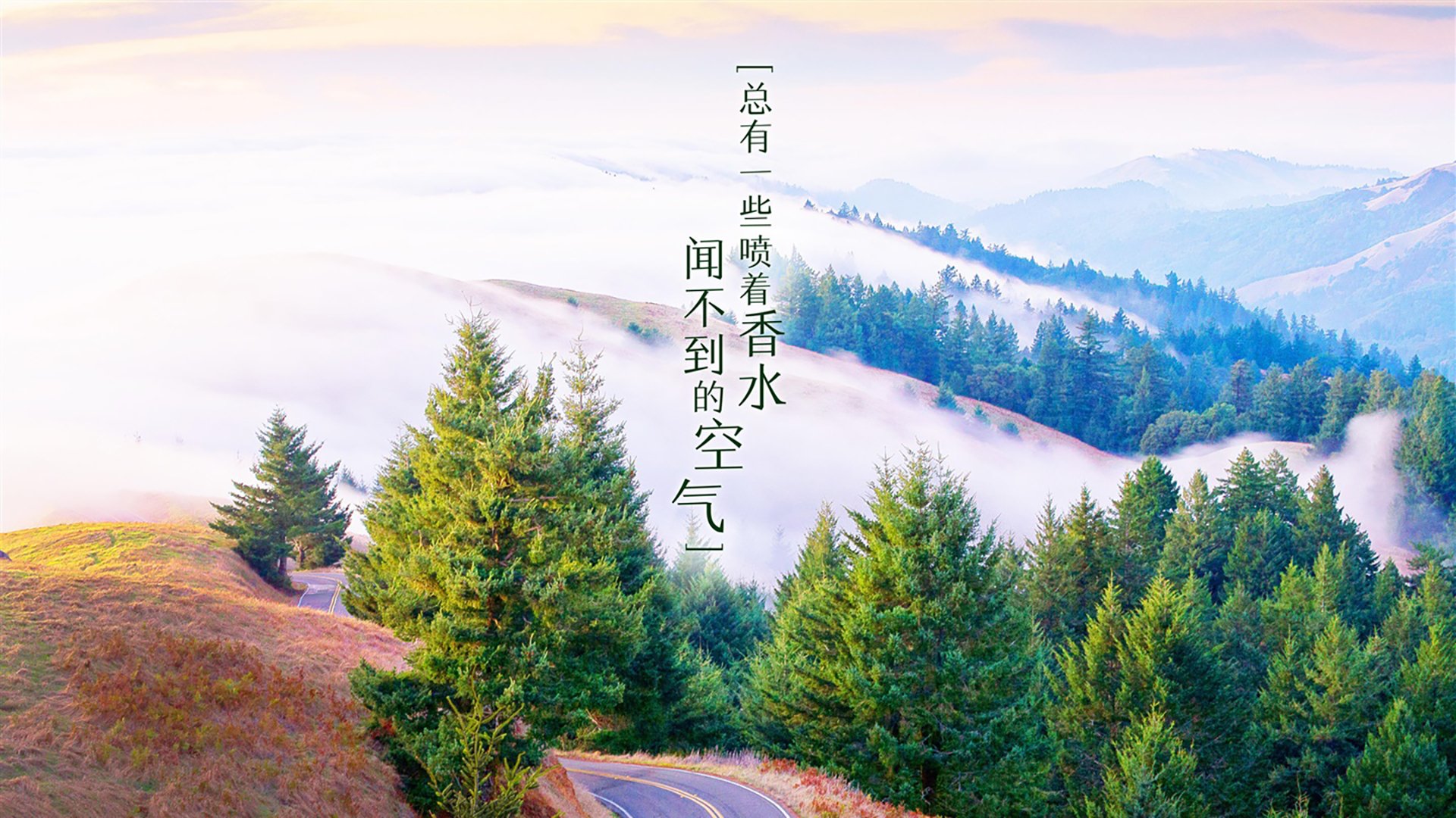 逆转的图腾，当泰国在2026世界杯F组用奇迹为贝林厄姆加冕