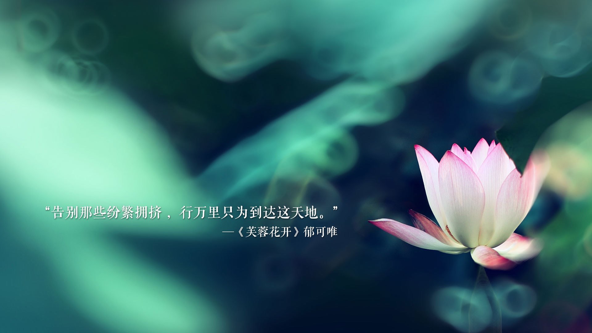 唯一之路，当斯洛伐克的城墙，撞上萨内的命运之刃